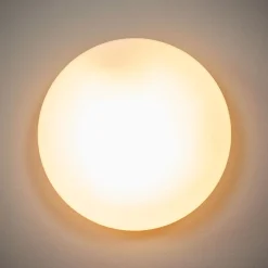 Alba kattovalaisin opaalilasista, Ø 25 cm