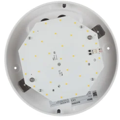 BEGA 50078 LED-kattovalaisin DALI 3000K Ø25cm Ø25cm