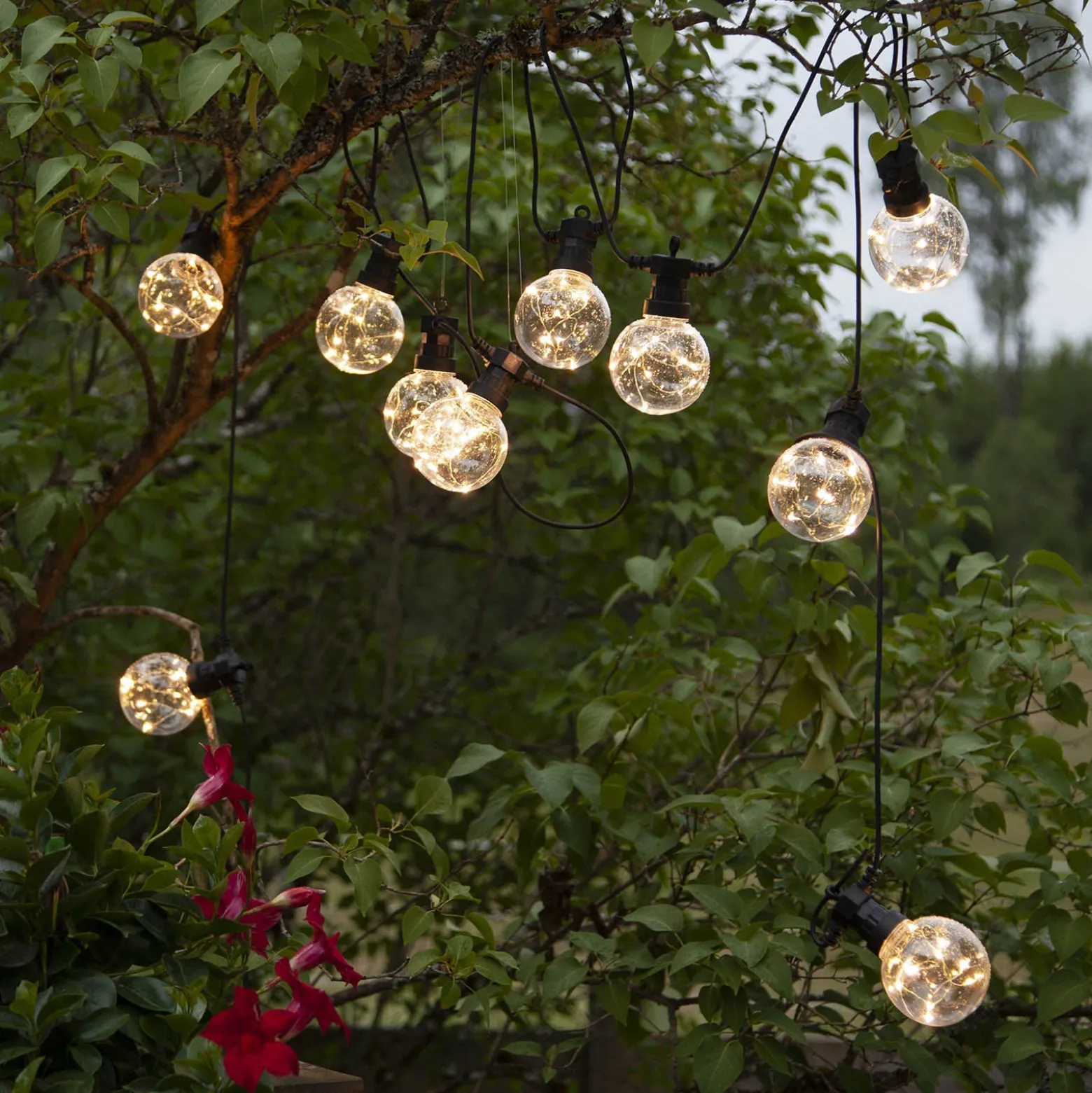 Big Circus, Dew Drops -LED-valoketju 10-lamppuinen
