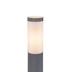 Boston polkuvalo, korkeus 110 cm