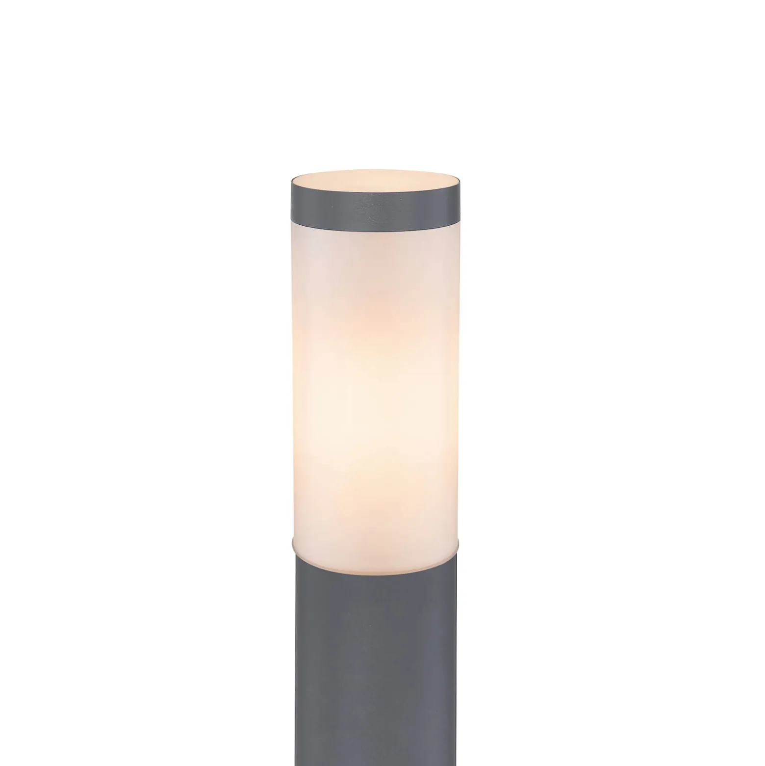 Boston polkuvalo, korkeus 110 cm