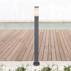 Boston polkuvalo, korkeus 110 cm
