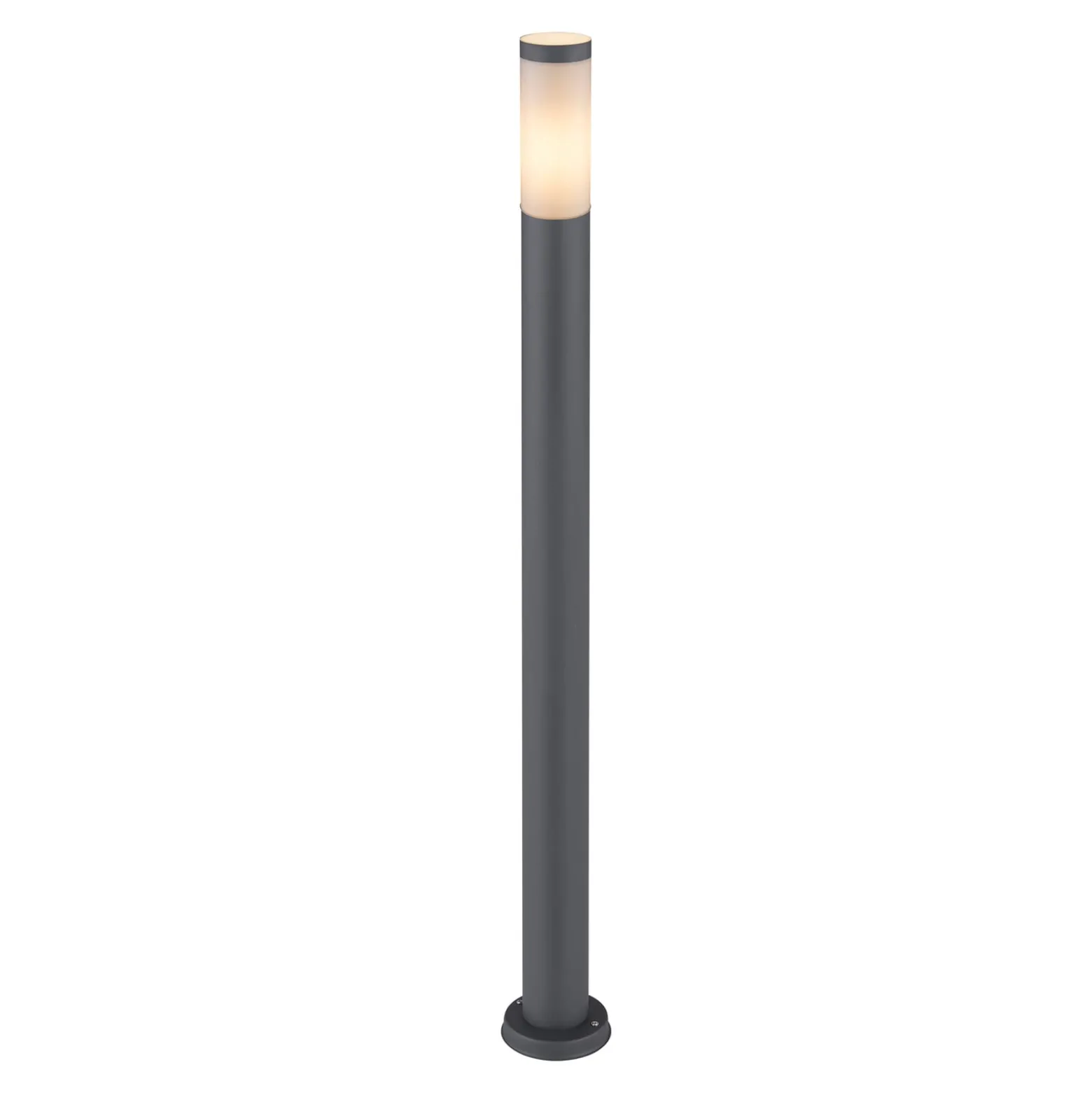 Boston polkuvalo, korkeus 110 cm
