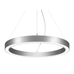 BRUMBERG Biro Circle Ring10 Ø 45cm ylös/alas DALI hopea 4000K