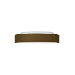 BRUMBERG LED-kattovalaisin Celtis Mini 3000K, tummanruskea-harmaa
