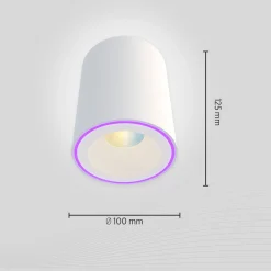 Calex Smart Halo Spot LED-kattovalaisin, valkoinen