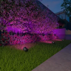 Calex Smart Outdoor Spotlight, maapiikki, 3 kpl:n sarja