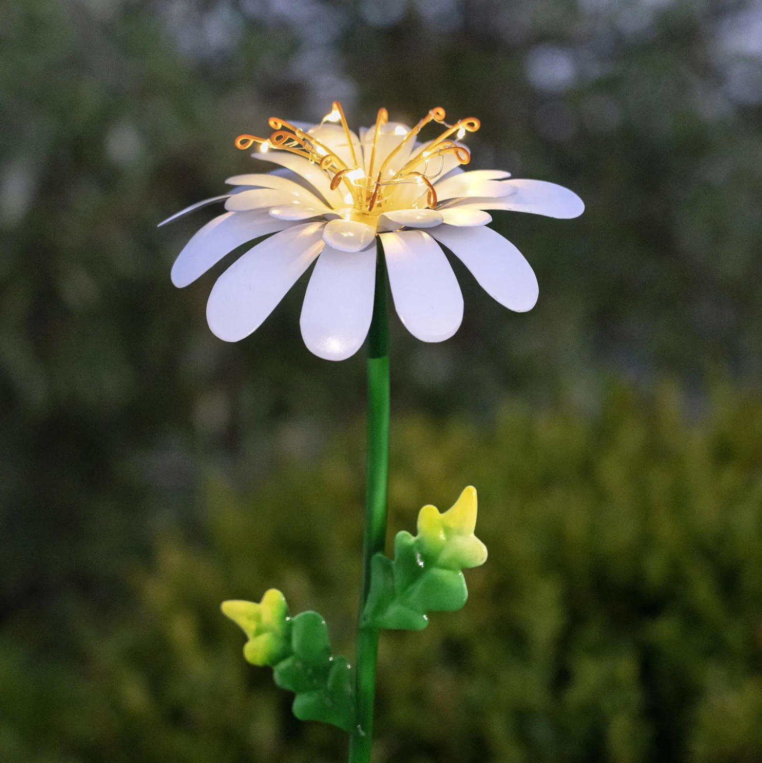 Daisy-LED-aurinkovalo, päivänkakkaran muotoinen