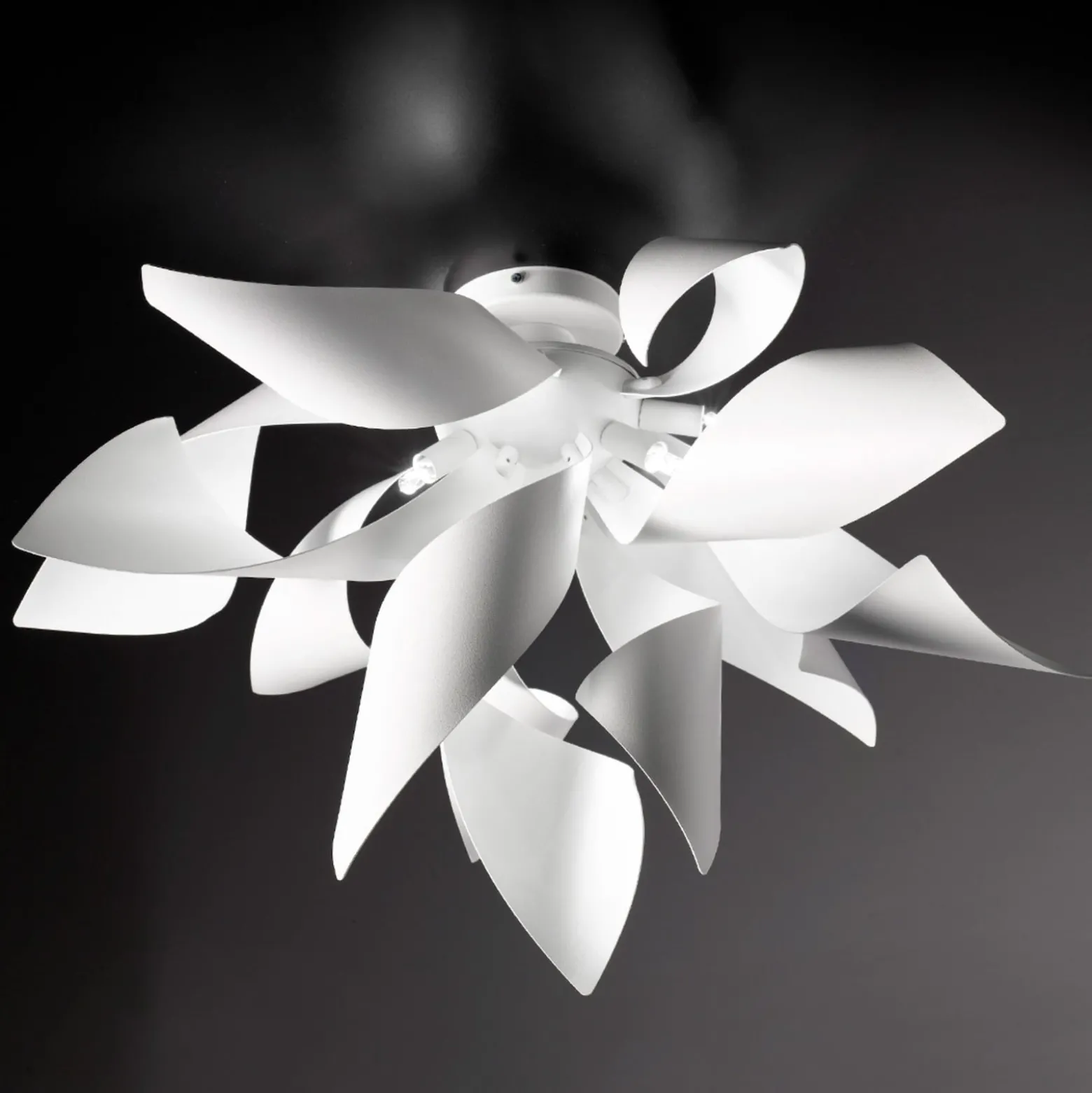 Design kattovalaisin Ginger, 50 cm