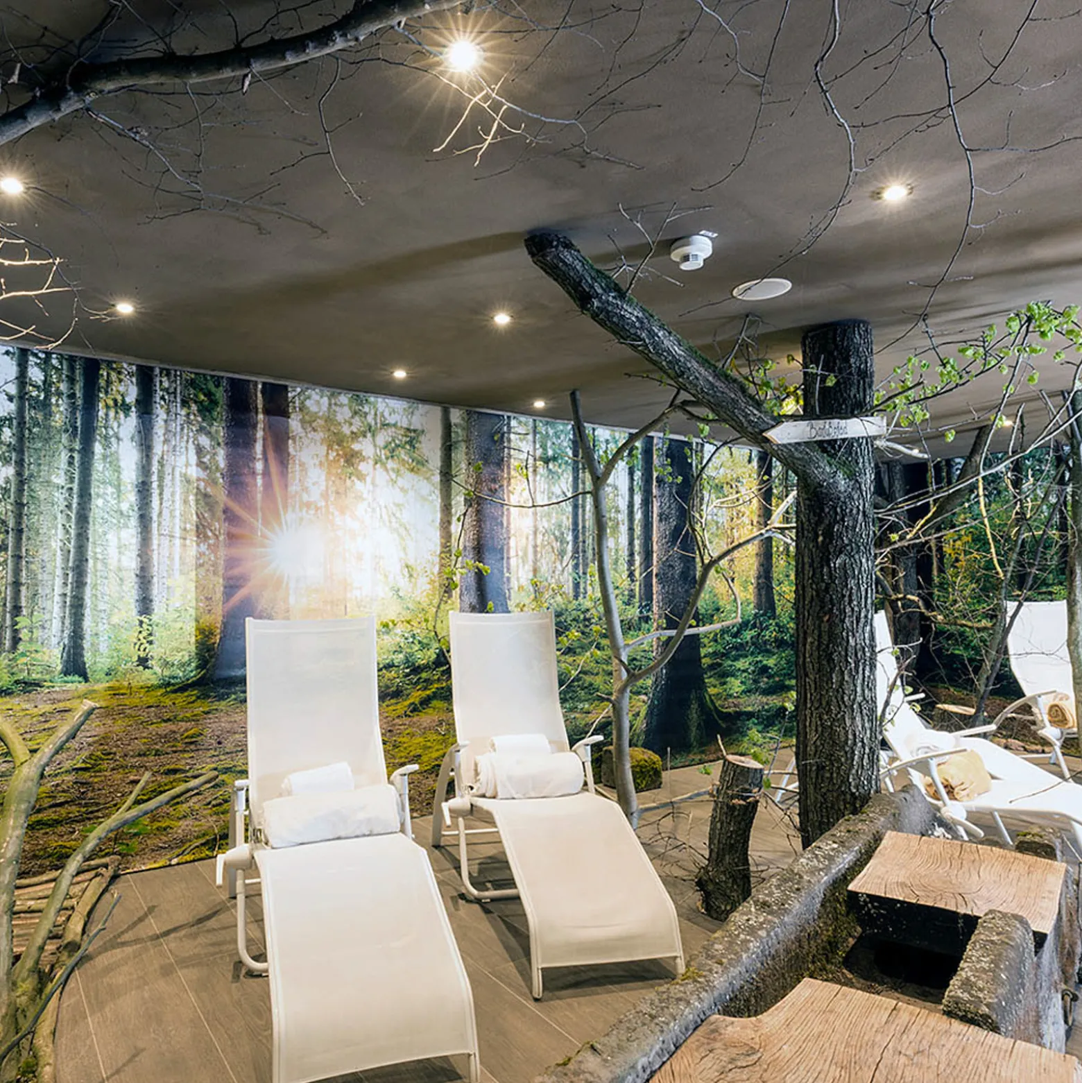 DOTLUX MULTIsun-LED-uppovalaisin pyöreä/mattavalk.