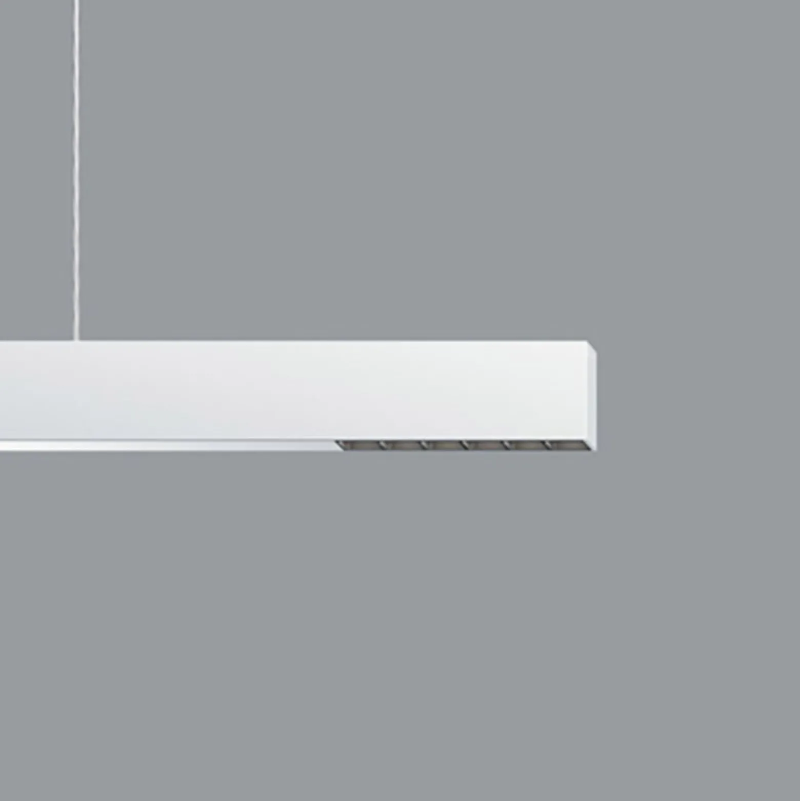 ERCO Compar P DALI up/down ovalwide valk/musta 930