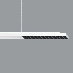 ERCO Jilly P DALI up/down oval wide valk/musta 830