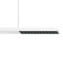 ERCO Jilly P DALI up/down oval wide valk/musta 830