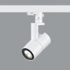 ERCO Parscan 230V Casambi 6W Wallwash 930 vaalea