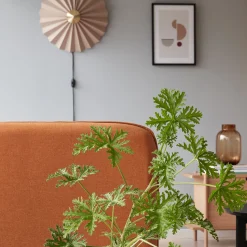 HÜBSCH Pliss seinävalaisin, beige, rauta, kangas, E27, kaapeli