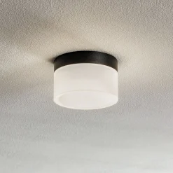 Helestra Liv -LED-kattovalaisin, satinoitu, Ø15cm