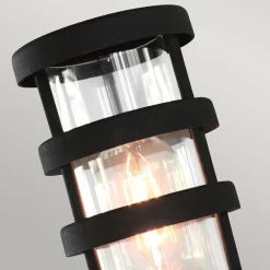 Hornbaek-pollarivalaisin, musta