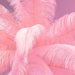 KARE Feather Palm -lattiavalaisin sulilla, pinkki