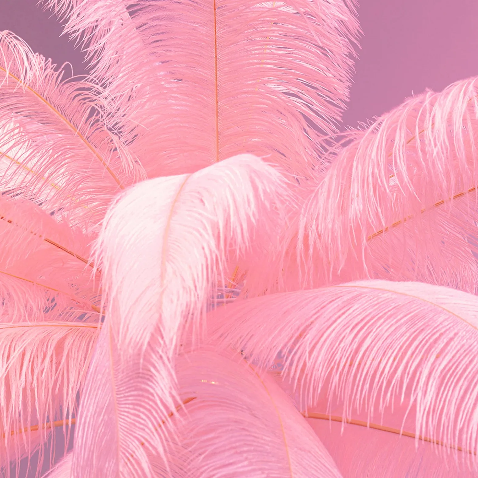 KARE Feather Palm -lattiavalaisin sulilla, pinkki