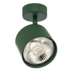 Kattospotti Chloe, säädettävä, vihreä, metalli, GU10, 13,5 cm