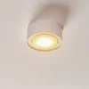 Kattospotti Flea teräksestä, valkoinen