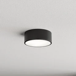 Kattovalaisin Cleo, Ø 20 cm, IP54, musta, metalli, E27