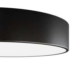 Kattovalaisin Cleo, Ø 20 cm, IP54, musta, metalli, E27