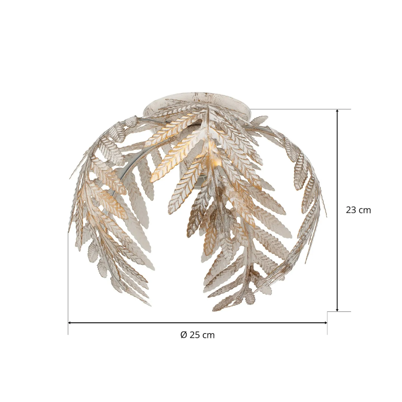 Kattovalaisin Felce, saniainen, norsunluu, Ø 25 cm