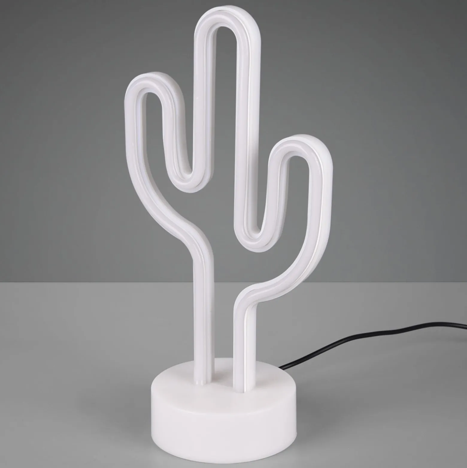 Koristevalaisin Cactus