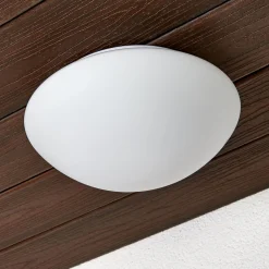 Lasinen ulkoseinävalaisin Tokyo 28 cm IP44