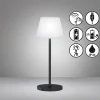 LED-akkupöytälamppu Flus, musta/valkoinen