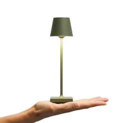 LED-akkupöytälamppu Nuindie pocket, männynvärinen, IP54, himmennettävä