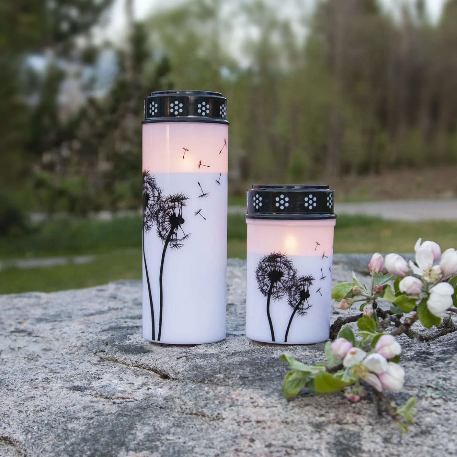LED-hautavalo Dandelion, 12 cm valkoinen/musta muoviparisto 12 cm