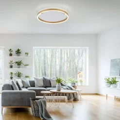 LED kattovalaisin Ritus, Ø 39.3cm matta messinki