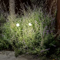 LED-pollarilamppu Cuca, musta, ruostumaton teräs/lasi, korkeus 65 cm