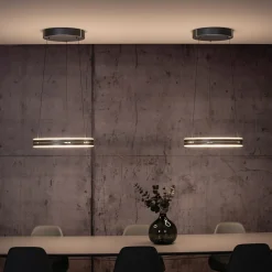 LED-riippuvalaisin PURE E-Loop, mystic grey, Ø 50 cm, alumiini, CCT