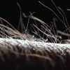 LED-riippuvalaisin PURE Moto-Rise, timantti, alumiini, CCT
