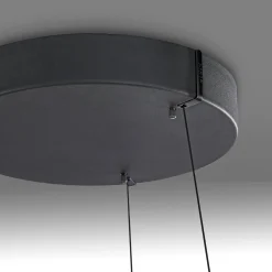 LED-riippuvalo PURE E-Loop, tammi/musta helmi, Ø 70 cm alumiini, CCT