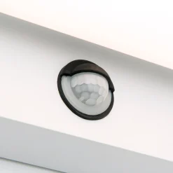 LED-ulkoseinävalaisin Ginger tunnistin, valk. IP54