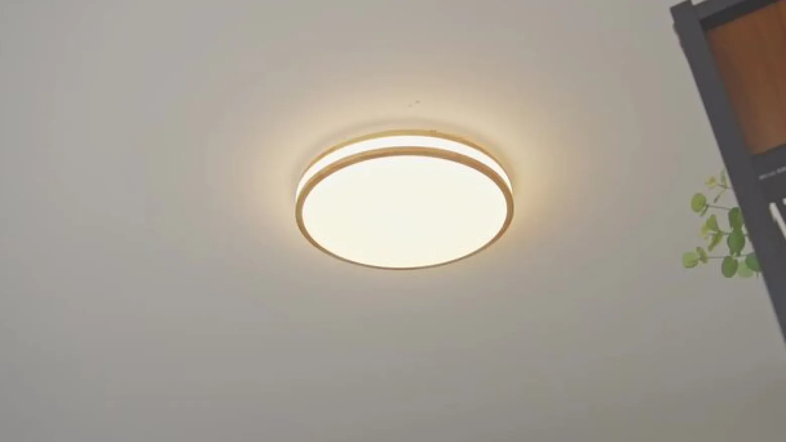 Lindby Emiva LED-kattovalaisin, 50 cm, vaalea puu, CCT