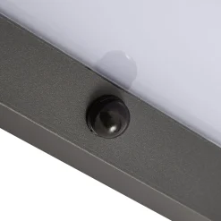 Lindby Fando LED-ulkoseinävalaisin, antrasiitti, liiketunnistin, IP44