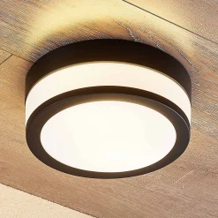 Lindby kattovalaisin Flavi, Ø 23 cm, musta, lasi, IP44, E27