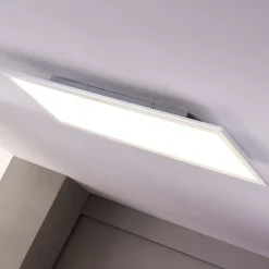 Lindby LED-paneeli Livel, 4000K, 80 cm x 30 cm, hopea, metallia