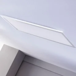 Lindby LED-paneeli Livel, 4000K, 80 cm x 30 cm, hopea, metallia