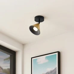 Lucande Kartio -kattovalaisin, 1-lamp., messinki