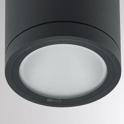 Molto Luce LED-ulkokattolamppu Foris Round SD, antrasiitti