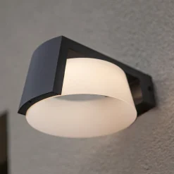 Moon LED-ulkoseinävalaisin, antrasiitti, CCT, IP44