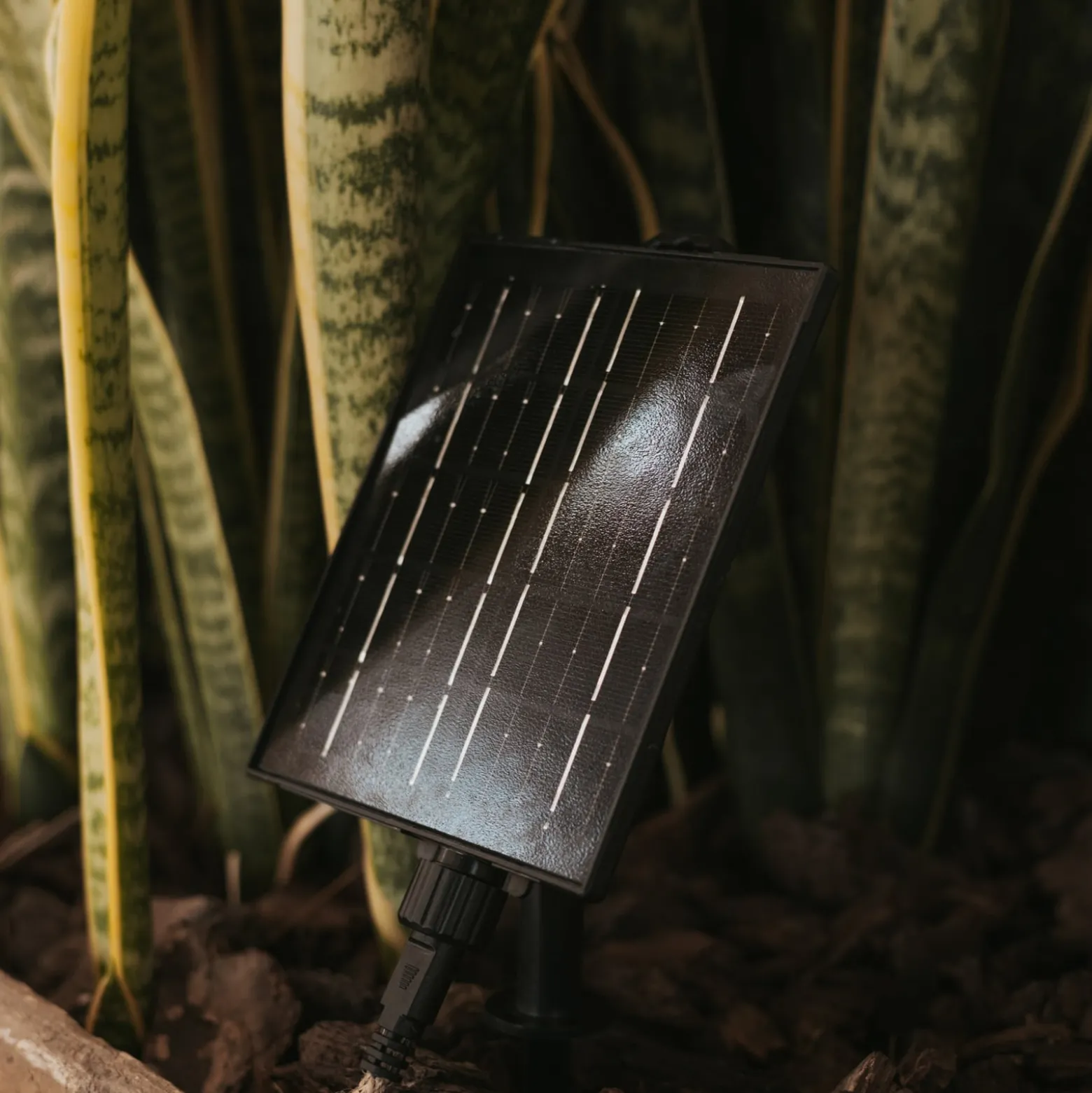 Newgarden LED-valoketju Maro, puunvärinen, juutti IP44