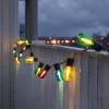 Olutpuutarha keijuvalot 20 LED tippaa värillinen