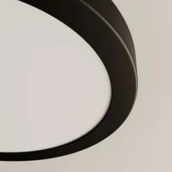 Paulmann Abia -LED-paneeli Ø30cm 2700K mattamusta